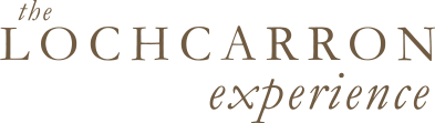 LVC Logo