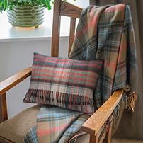Blankets & Cushions
