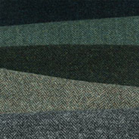 Yair Tweed