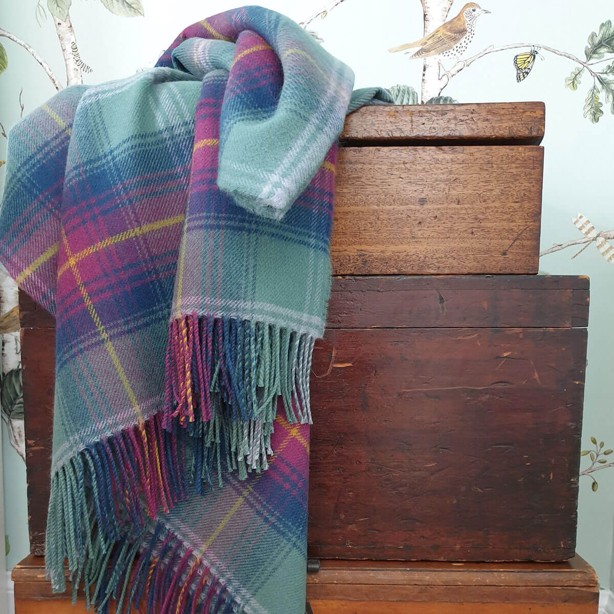 Borders Hame Tartan Lambswool Blanket Gallery Image 3