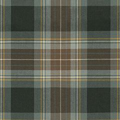 Holyrood Weathered Medium Weight Tartan Fabric