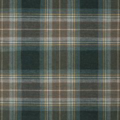 Holyrood Weathered Heavyweight Selkirk Tweed Tartan Fabric