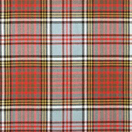 Anderson Weathered Heavy Weight Tartan Fabric-Front