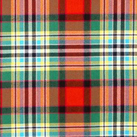 Dundee Old Ancient Heavy Weight Tartan Fabric-Front