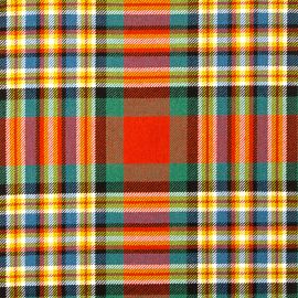 MacGill Ancient Heavy Weight Tartan Fabric-Front