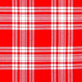 Menzies Red & White Modern Heavyweight Tartan Fabric - Single Width 