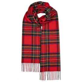 Darwin Stewart Royal Modern Luxury Oversized Lambswool Scarf 