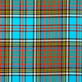 Anderson Ancient Heavy Weight Tartan Fabric-Front