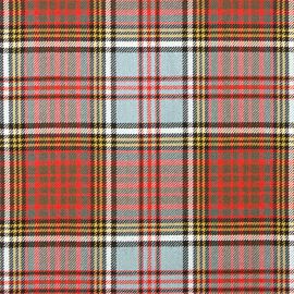 Anderson Weathered Heavy Weight Tartan Fabric-Front