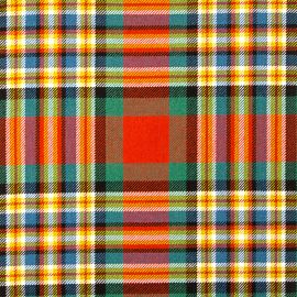 MacGill Ancient Heavy Weight Tartan Fabric-Front