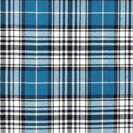 Napier Ancient Heavyweight Tartan Fabric - Single Width