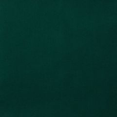 Green Modern Plain Coloured Lightweight Fabric