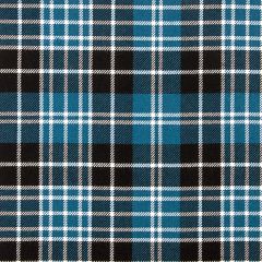 Clark Ancient Heavyweight Tartan Fabric