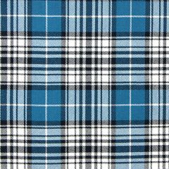 Napier Ancient Heavyweight Tartan Fabric - Single Width