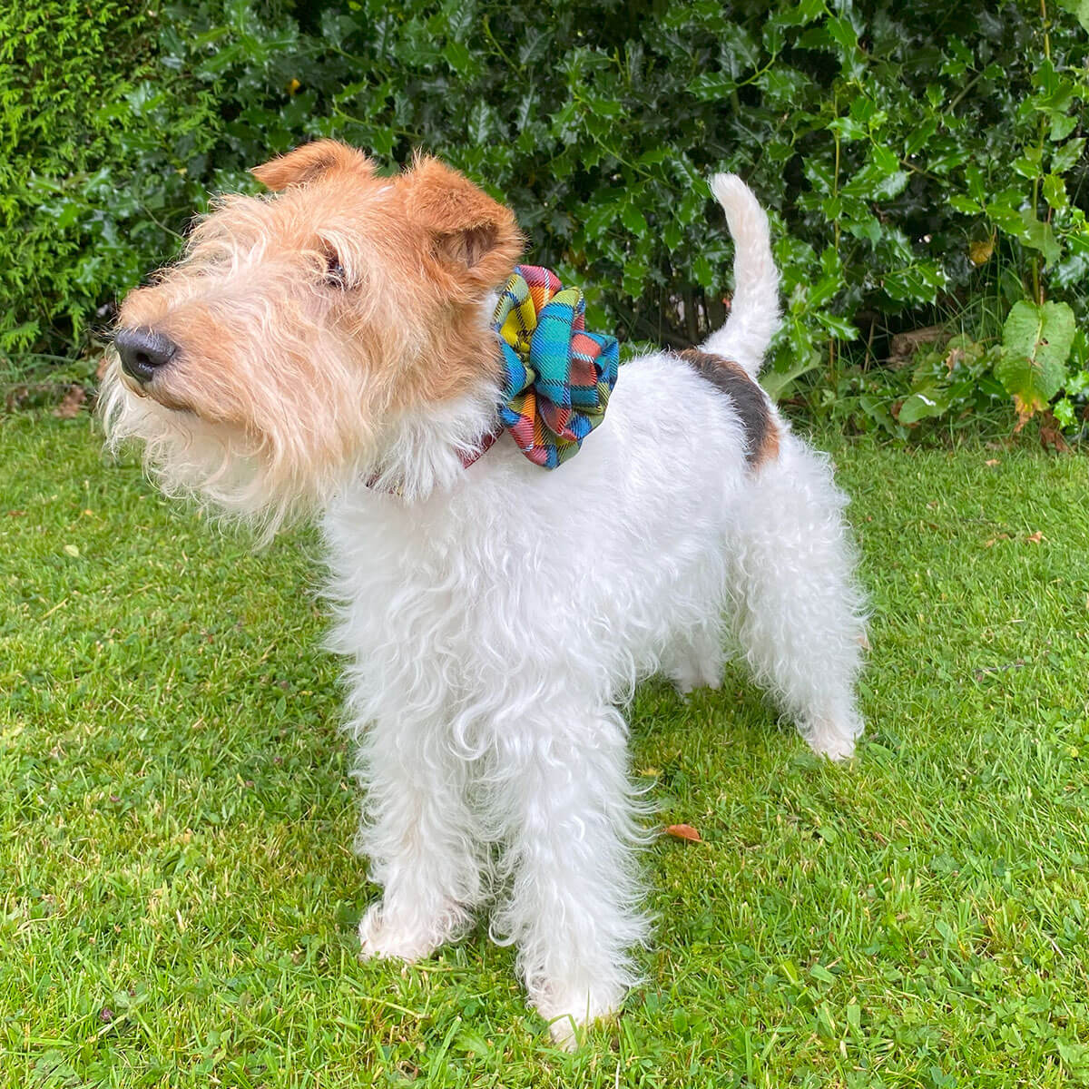 Made to Order Reiver Lightweight Tartan Corsage Flower Brooch Pin Gallery Image 4