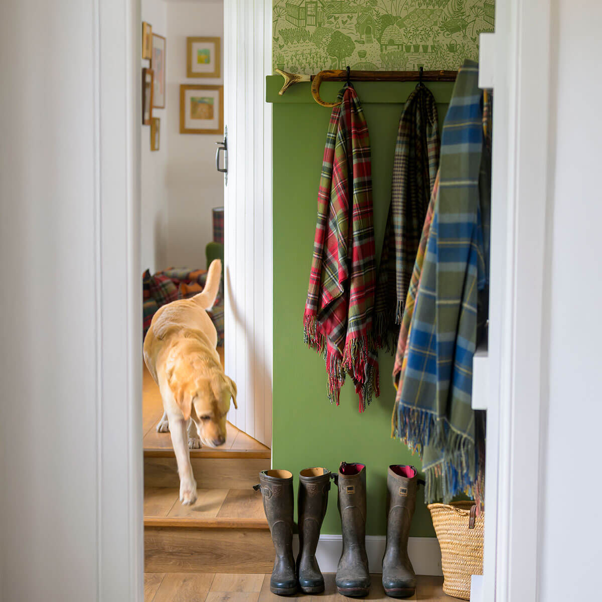 Borders Scottish Borderland Tartan Lambswool Blanket Gallery Image 3