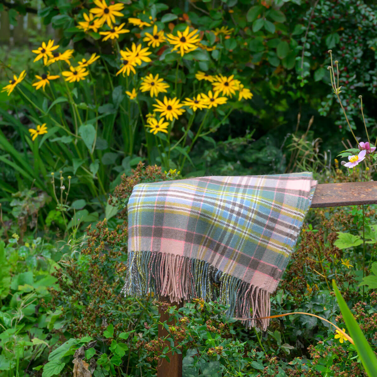 Borders Dundee Rose Tartan Lambswool Blanket Gallery Image 4