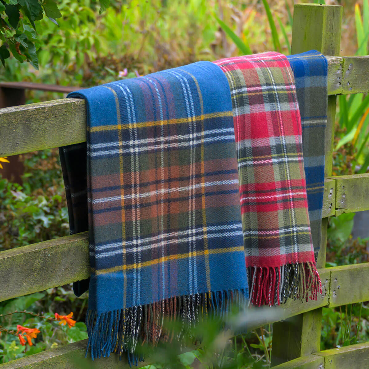 Borders MacBeth Weathered Tartan Lambswool Blanket Gallery Image 4