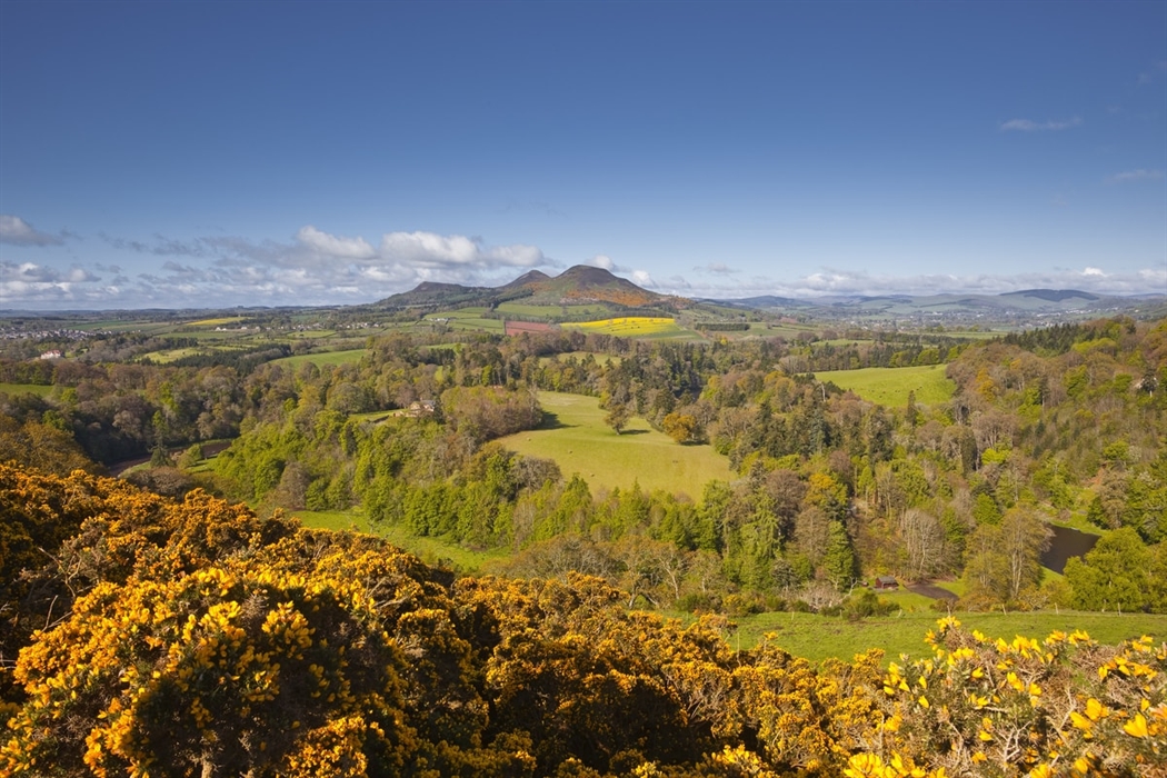 Scotts View Looking over the Eildons