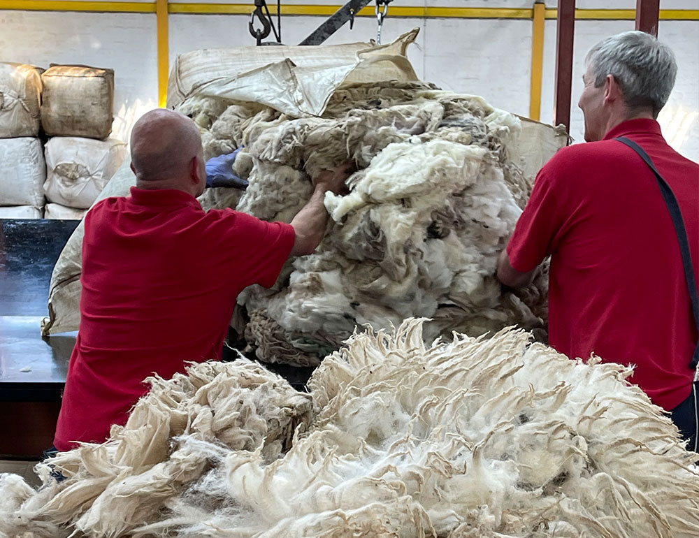 Fleece at the British Wool Grading Depot in Galashiels.