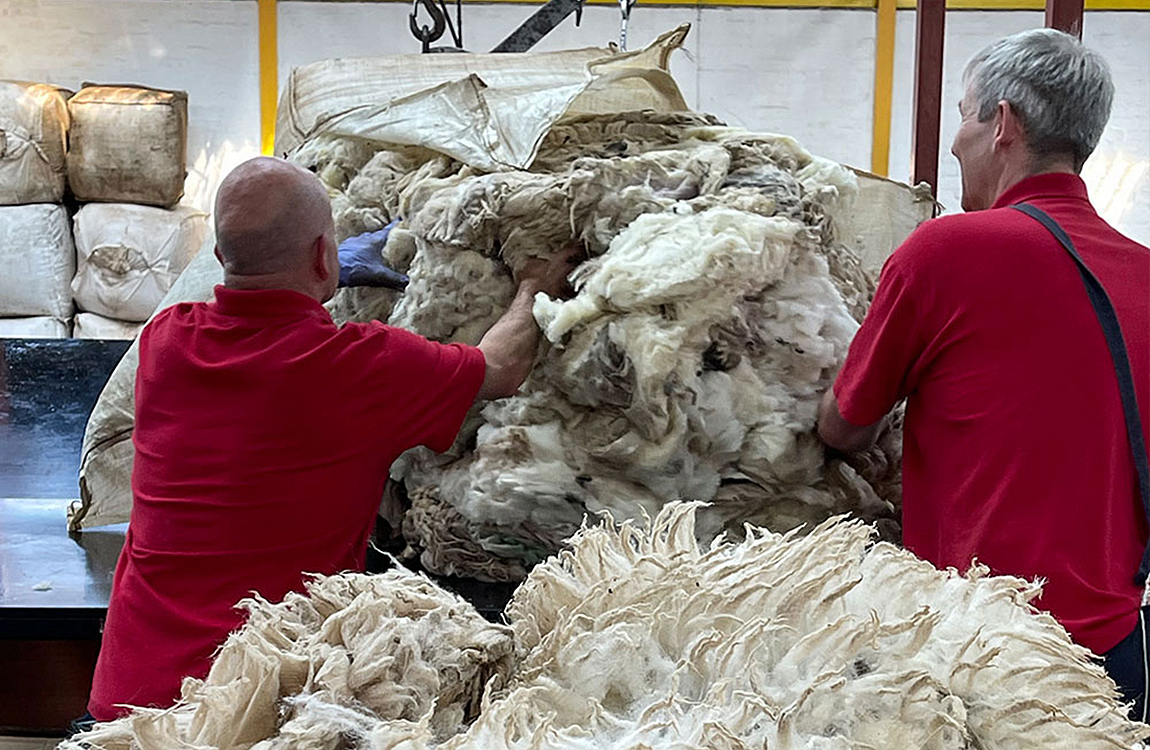 Fleece at the British Wool Grading Depot in Galashiels.